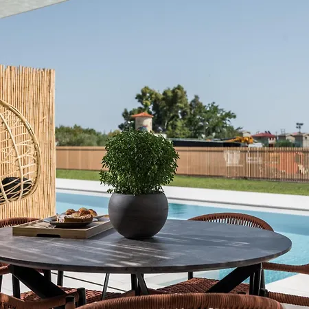 Saint John Halkidiki 别墅 尼基季