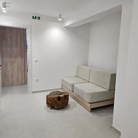 Saint John Halkidiki 别墅 尼基季